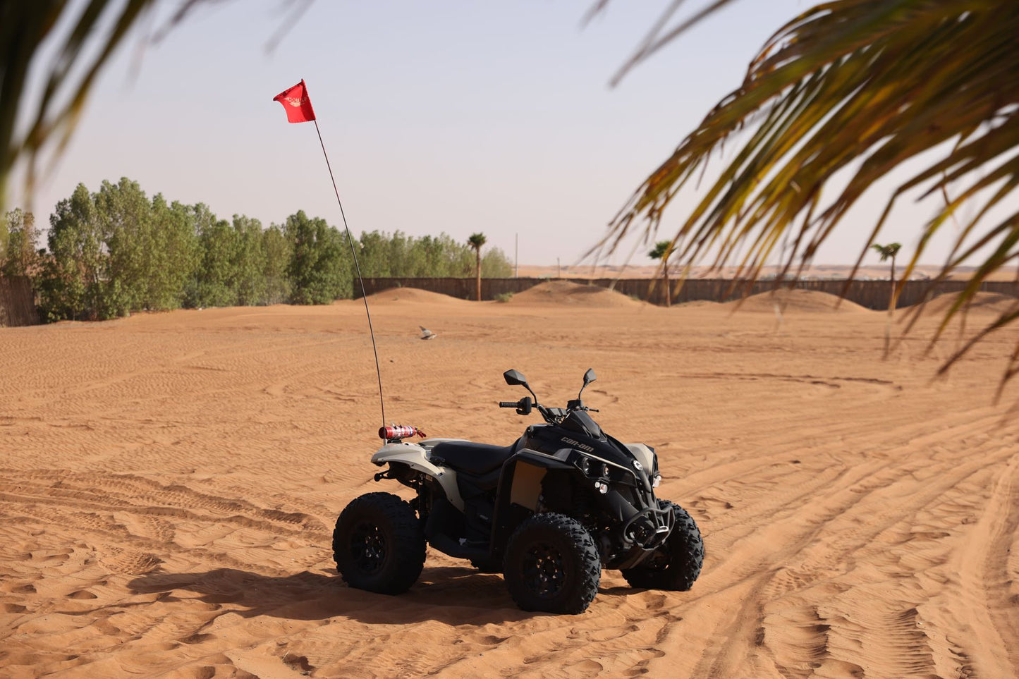 Dubai: Dubai Çölü'nde ATV ve ATV Turu