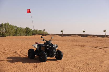 Dubai: Can-Am Renegade 650cc Quad Bike Tour