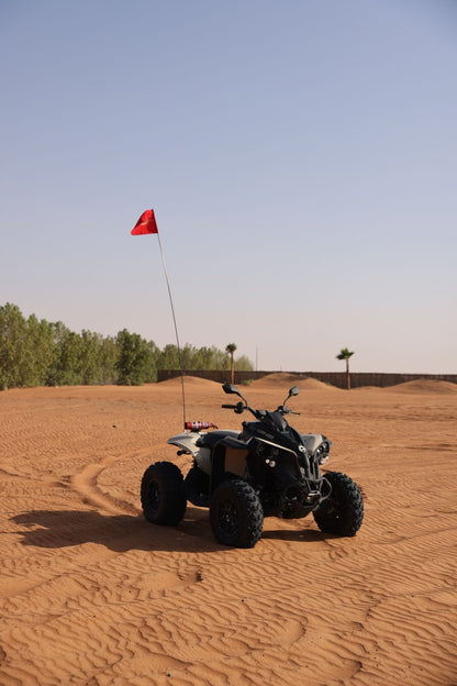 Dubai: Can-Am Renegade 650cc Quad Bike Tour