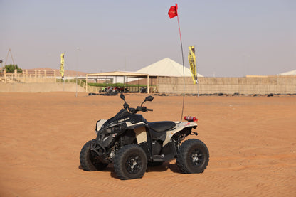 Dubai: Can-Am Renegade 650cc Quad Bike Tour