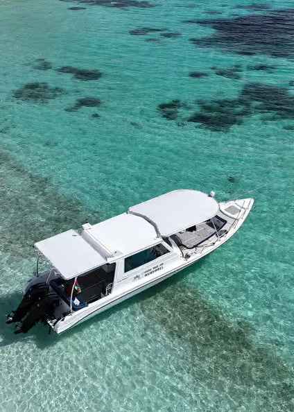 Mascate: Tour de crucero y snorkel en las Islas Daymaniat