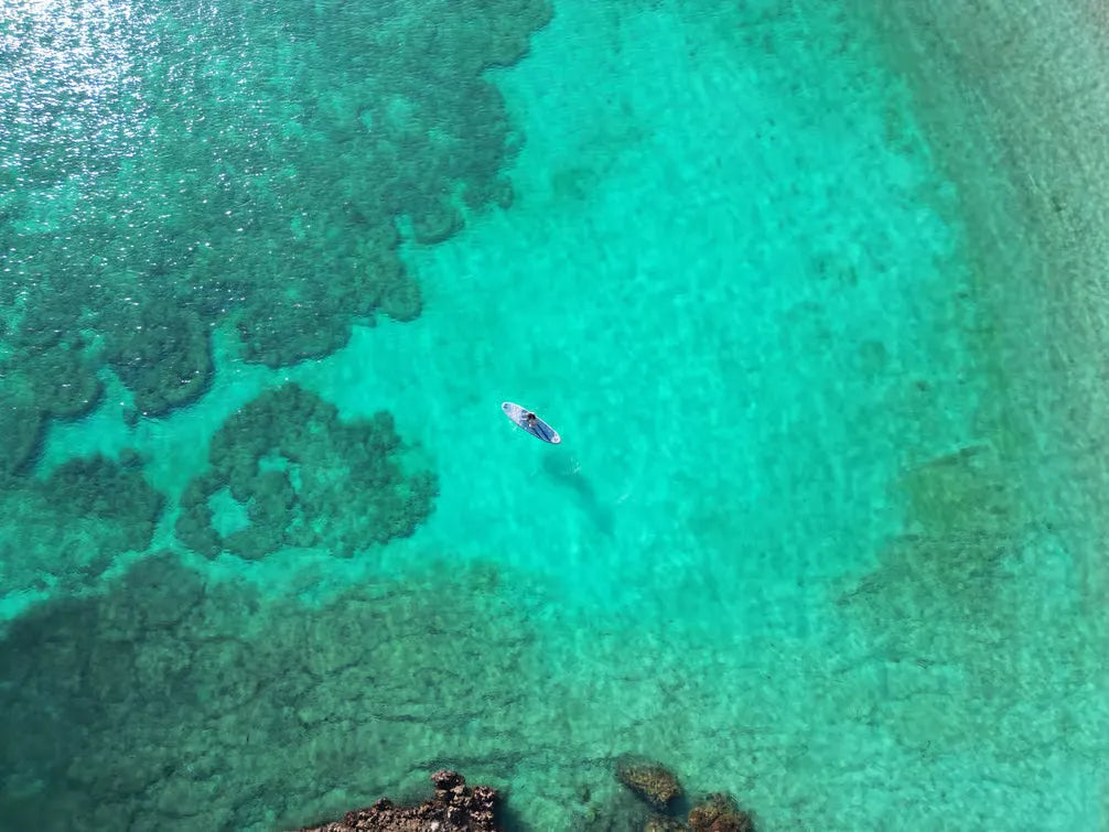 Mascate: Tour de crucero y snorkel en las Islas Daymaniat