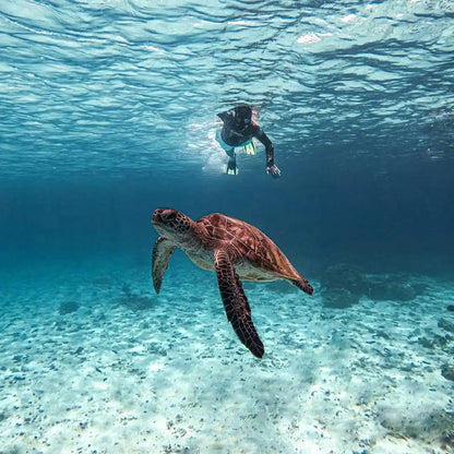 Mascate: Tour de crucero y snorkel en las Islas Daymaniat