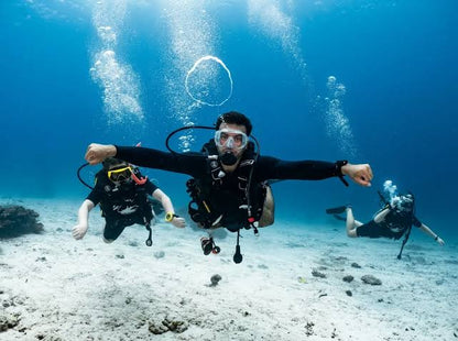Mascate: tour di immersioni subacquee alle Isole Daymaniyat