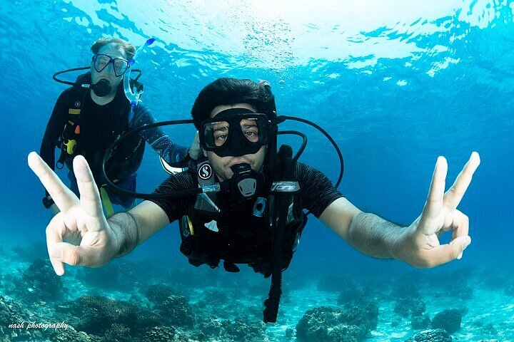 Mascate: tour di immersioni subacquee alle Isole Daymaniyat