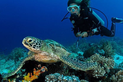 Mascate: tour di immersioni subacquee alle Isole Daymaniyat