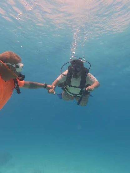 Mascate: tour di immersioni subacquee alle Isole Daymaniyat