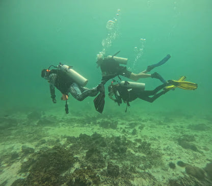 Mascate: tour di immersioni subacquee alle Isole Daymaniyat