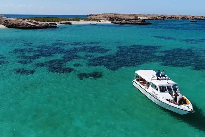 Mascate: Excursión de snorkel a las islas Daymaniyat con almuerzo