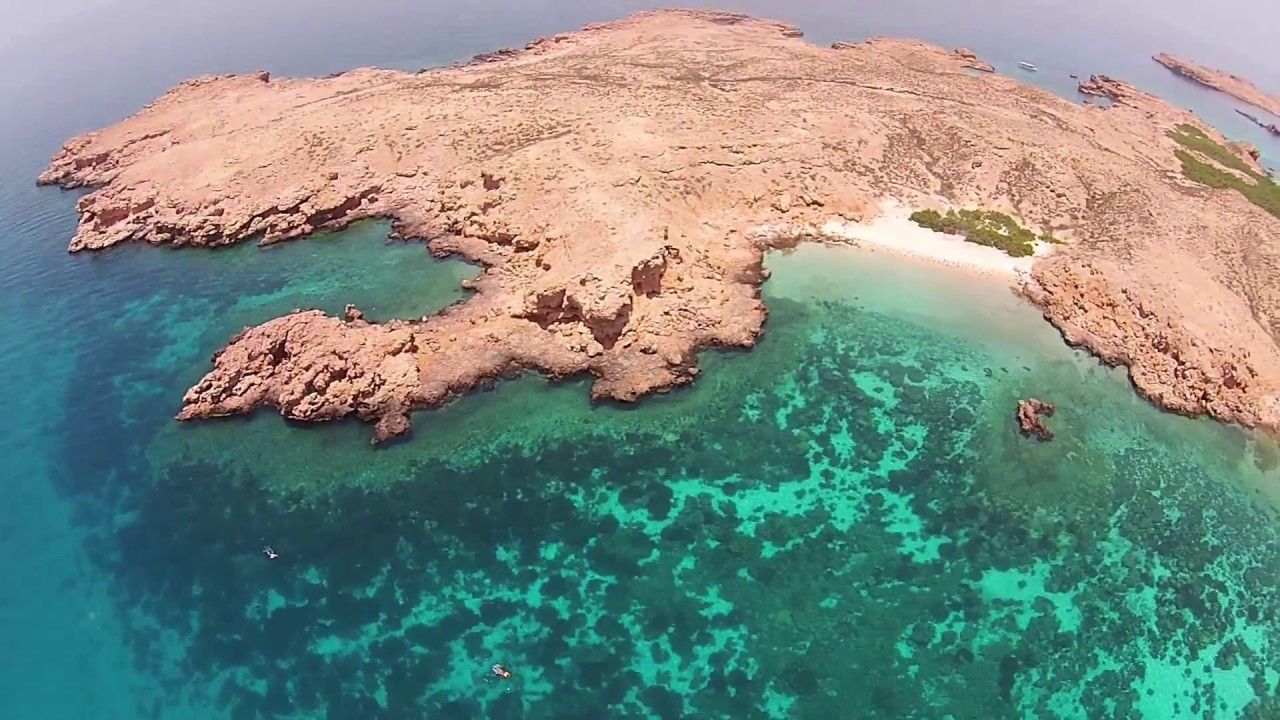 Mascate: Excursión de snorkel a las islas Daymaniyat con almuerzo