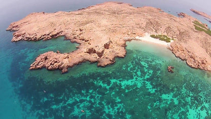 Mascate: Excursión de snorkel a las islas Daymaniyat con almuerzo
