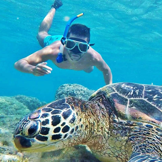 Mascate : excursion de snorkeling aux îles Daymaniyat avec déjeuner