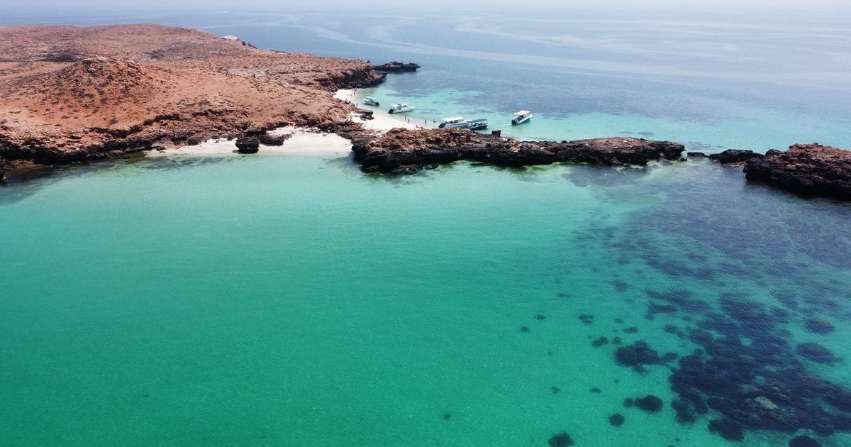 Mascate: Excursión de snorkel a las islas Daymaniyat con almuerzo