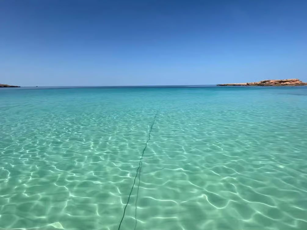 Mascate : excursion d'observation des dauphins et de snorkeling