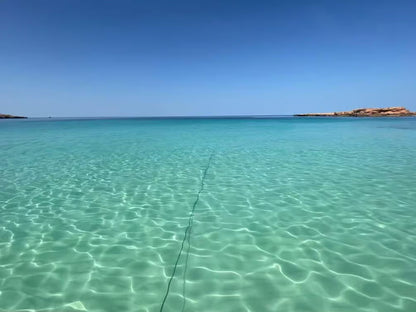 Mascate : excursion d'observation des dauphins et de snorkeling