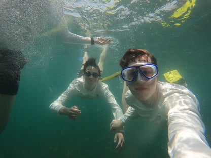 Mascate : excursion d'observation des dauphins et de snorkeling
