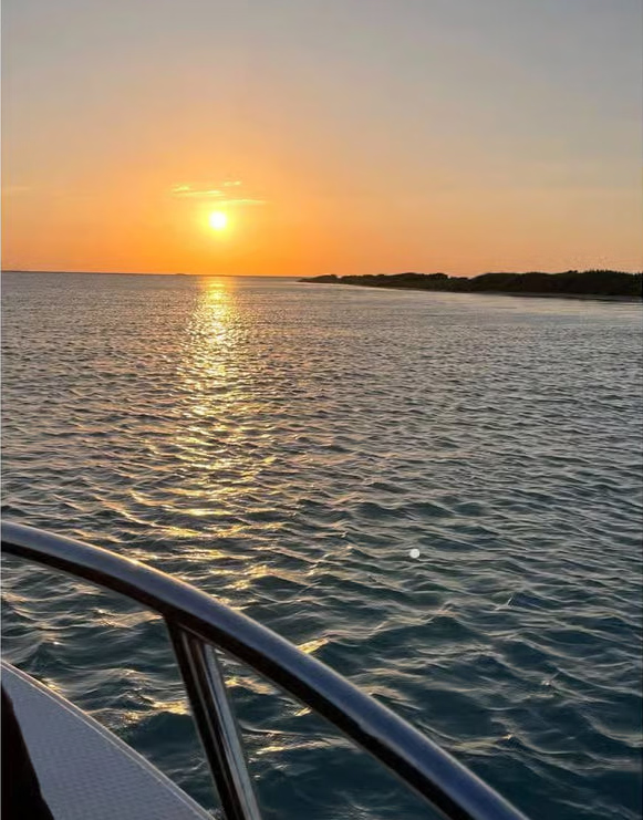 Maskat: Delfinbeobachtung oder Sonnenuntergangsfahrt – Tour