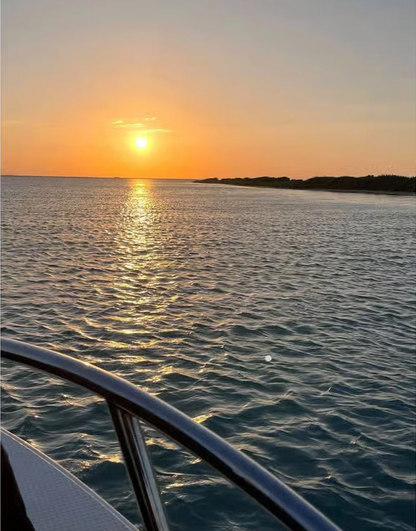 Maskat: Delfinbeobachtung oder Sonnenuntergangsfahrt – Tour