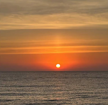 Maskat: Delfinbeobachtung oder Sonnenuntergangsfahrt – Tour