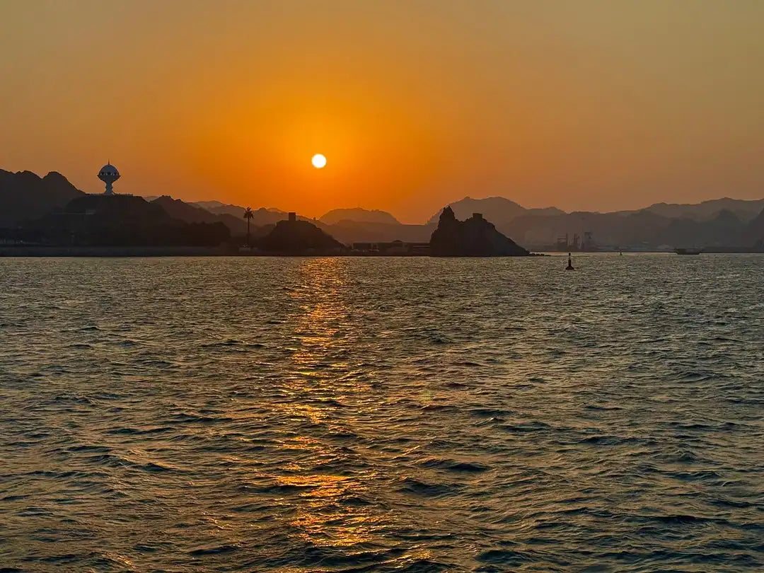 Maskat: Delfinbeobachtung oder Sonnenuntergangsfahrt – Tour