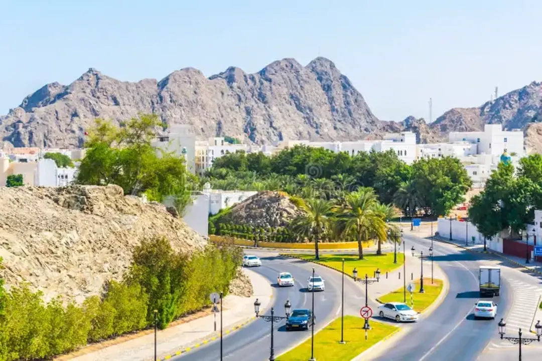 マスカット：ホテル送迎付き半日市内ツアー