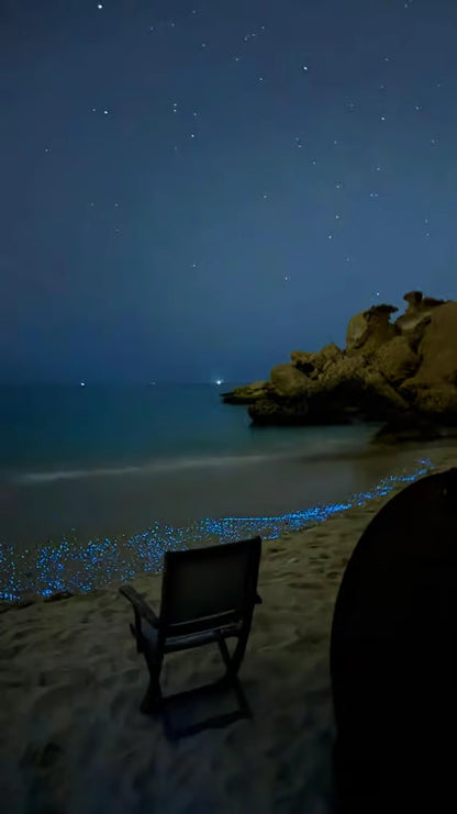 Mascate: campeggio notturno in spiaggia e cena barbecue