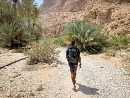 مسقط: جولة يومية إرشادية إلى وادي شاب وحفرة بيمه