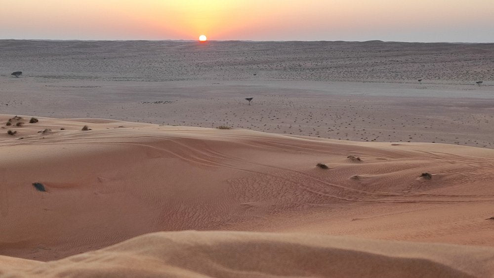 Mascate: Tour guiado por las Dunas de Wahiba y Wadi Bani Khalid