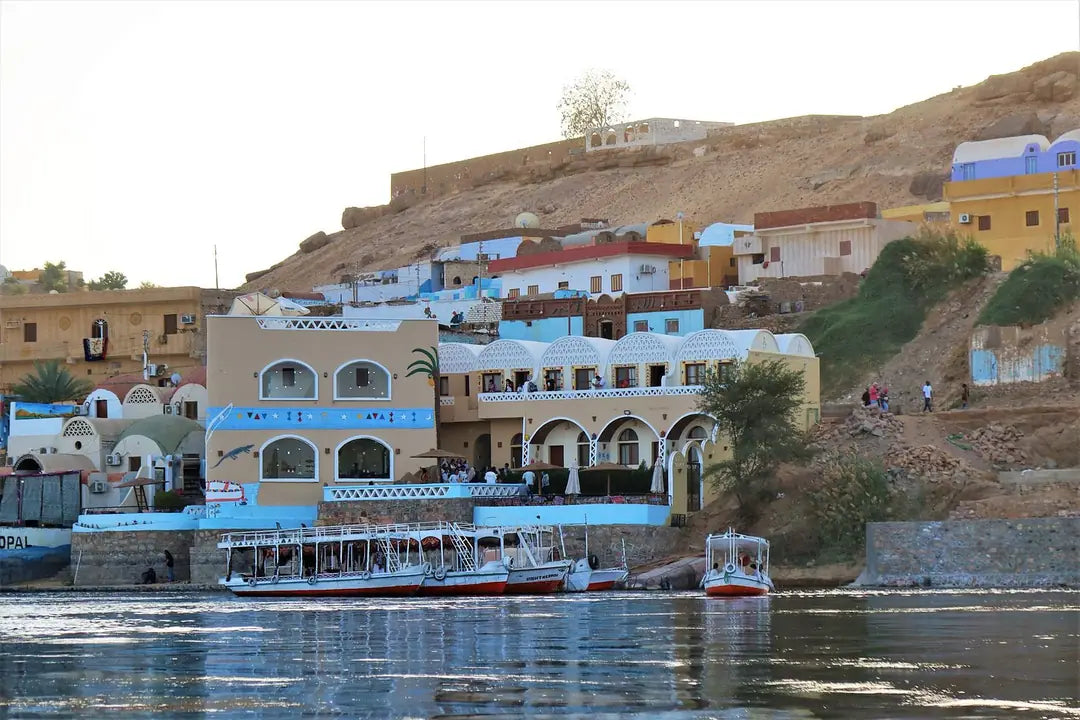 Aswan: Private Nubian Village and Botanical Garden trip