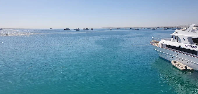 Hurghada : excursion en bateau à Paradise Island et snorkeling