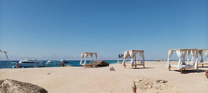 Hurghada : excursion en bateau à Paradise Island et snorkeling