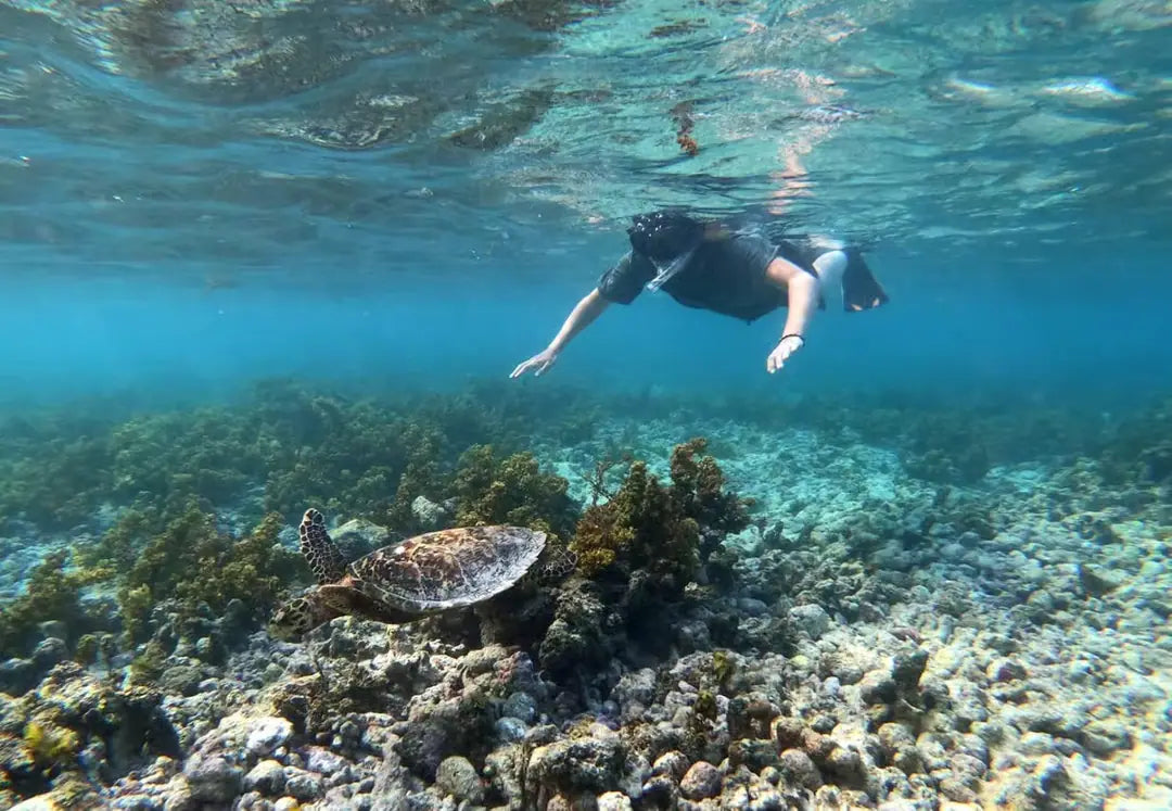 Praslin: passeio de lancha por Cocos, Félicité e La Digue