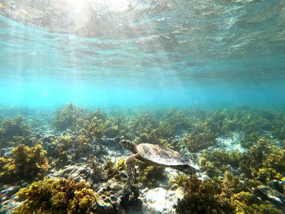 Praslin: passeio de lancha por Cocos, Félicité e La Digue