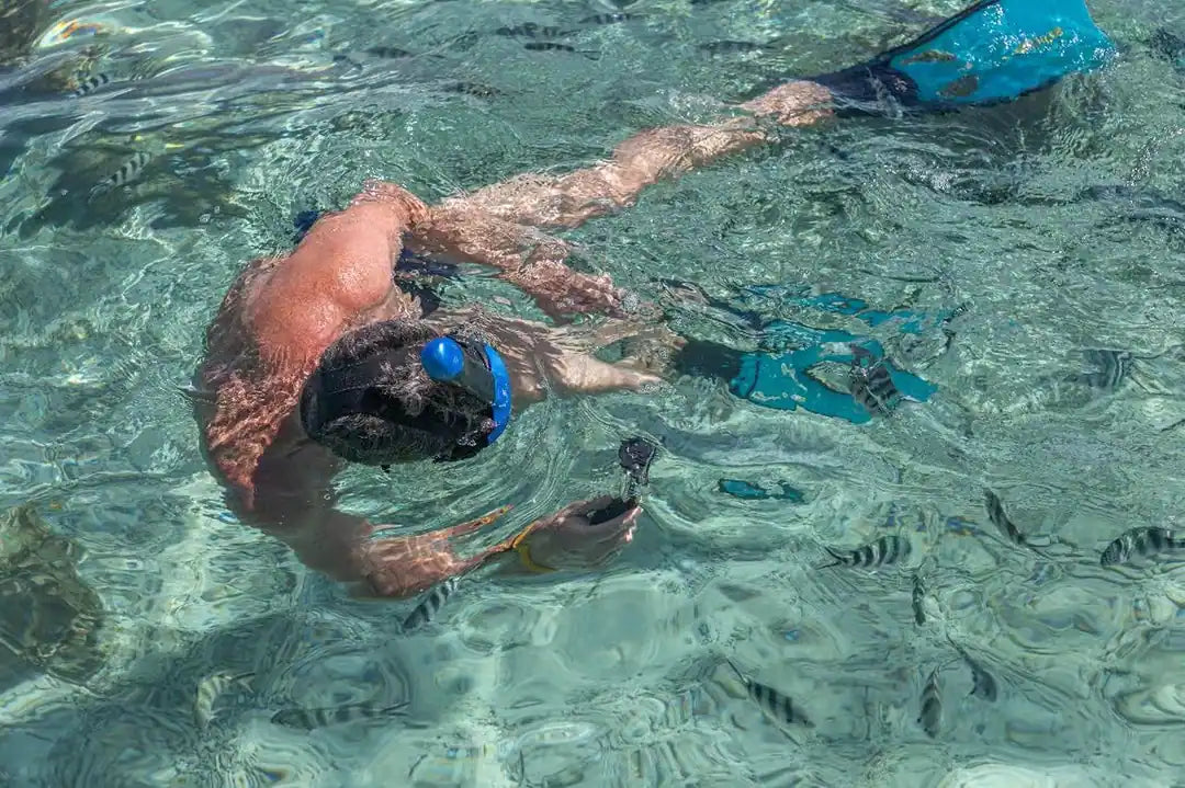 Praslin: Schnorchelausflug zur Insel Curieuse und St. Pierre