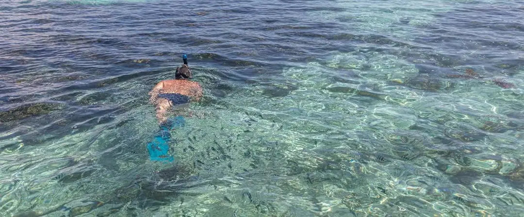 Praslin: Schnorchelausflug zur Insel Curieuse und St. Pierre