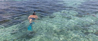 Praslin: Schnorchelausflug zur Insel Curieuse und St. Pierre