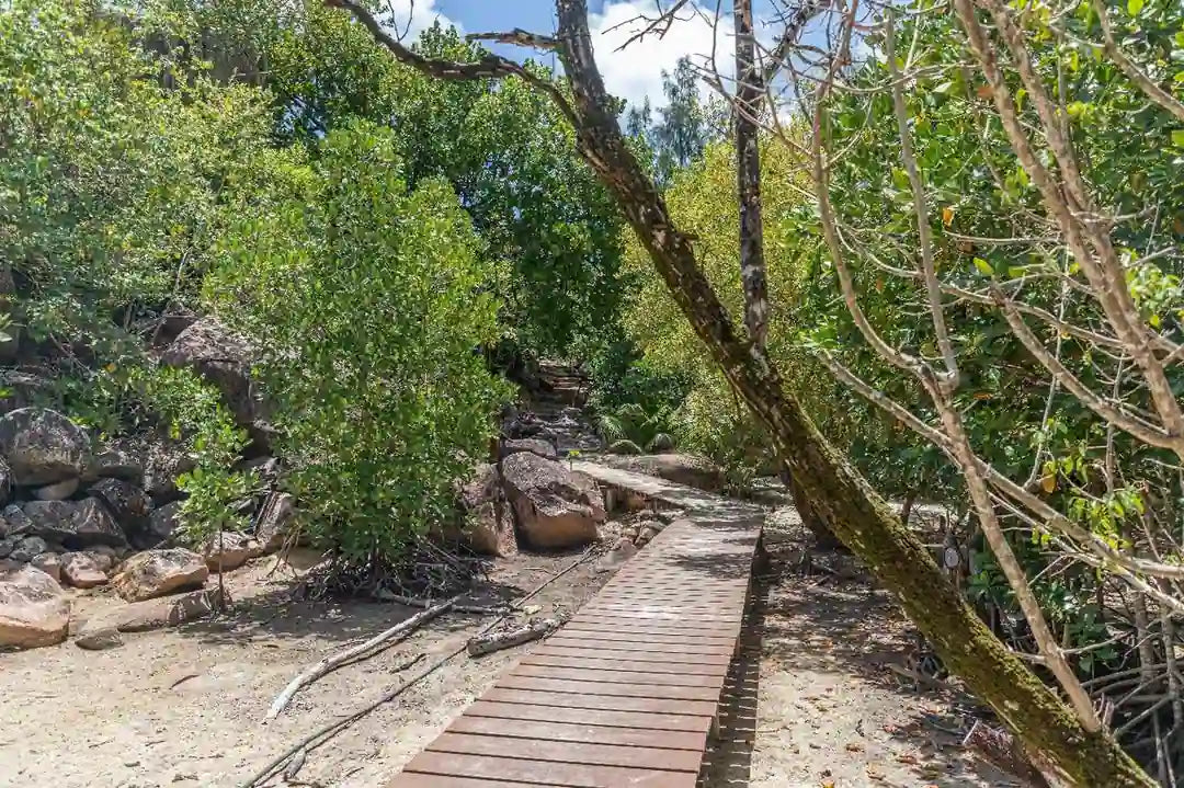 Praslin: Schnorchelausflug zur Insel Curieuse und St. Pierre