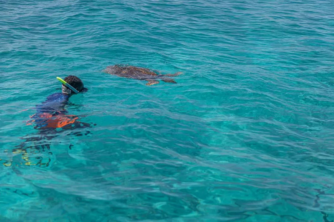 Praslin: Schnorchelausflug zur Insel Curieuse und St. Pierre