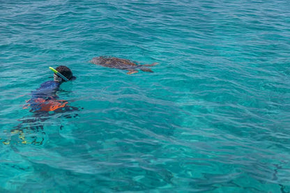 Praslin: Schnorchelausflug zur Insel Curieuse und St. Pierre