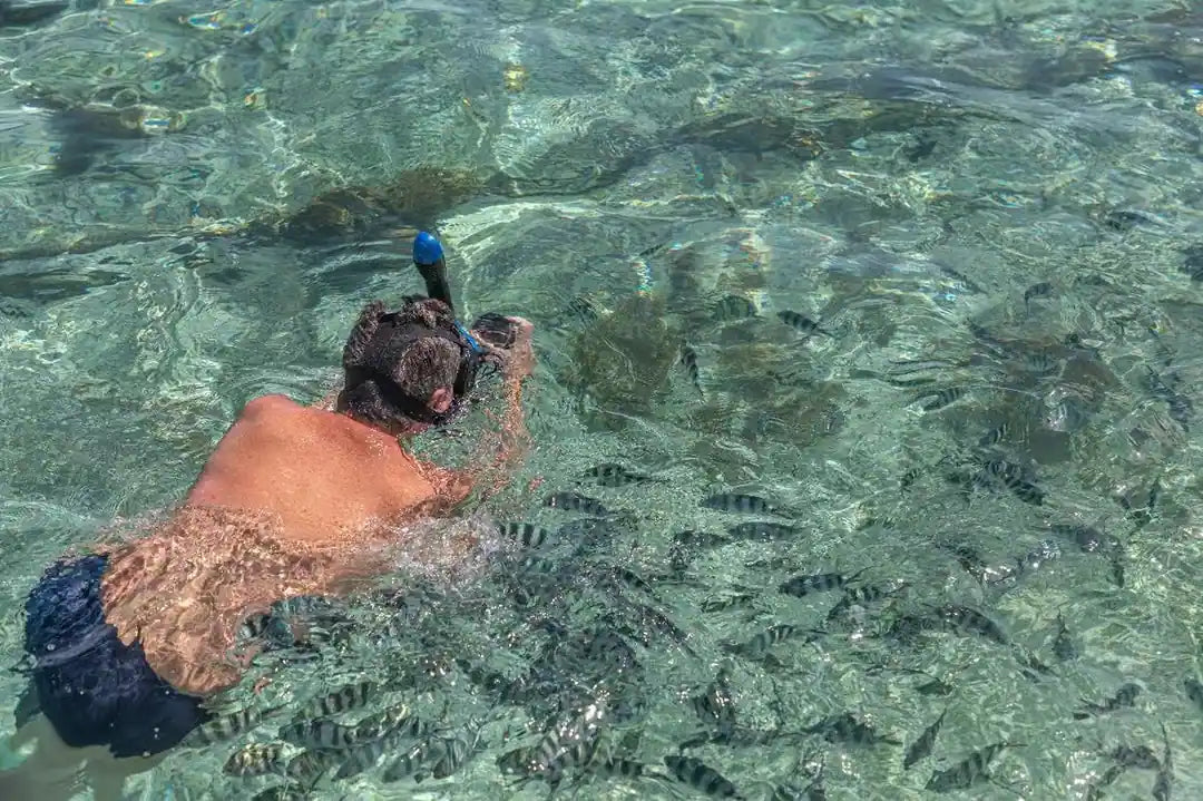 Praslin: Schnorchelausflug zur Insel Curieuse und St. Pierre