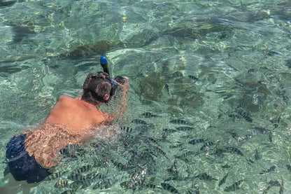 Praslin: Schnorchelausflug zur Insel Curieuse und St. Pierre