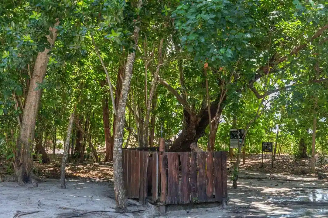 Praslin: Schnorchelausflug zur Insel Curieuse und St. Pierre