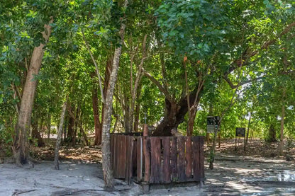 Praslin: Schnorchelausflug zur Insel Curieuse und St. Pierre