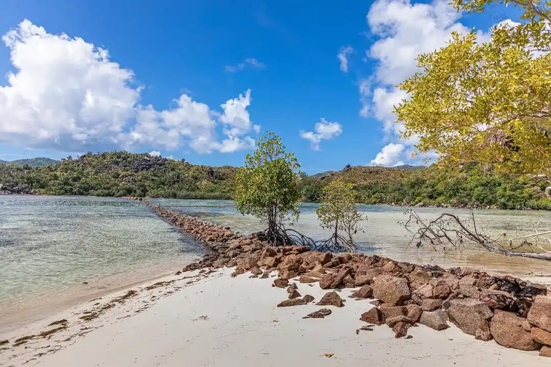 Praslin: Schnorchelausflug zur Insel Curieuse und St. Pierre