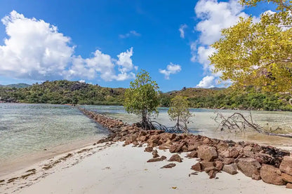 Praslin: Schnorchelausflug zur Insel Curieuse und St. Pierre