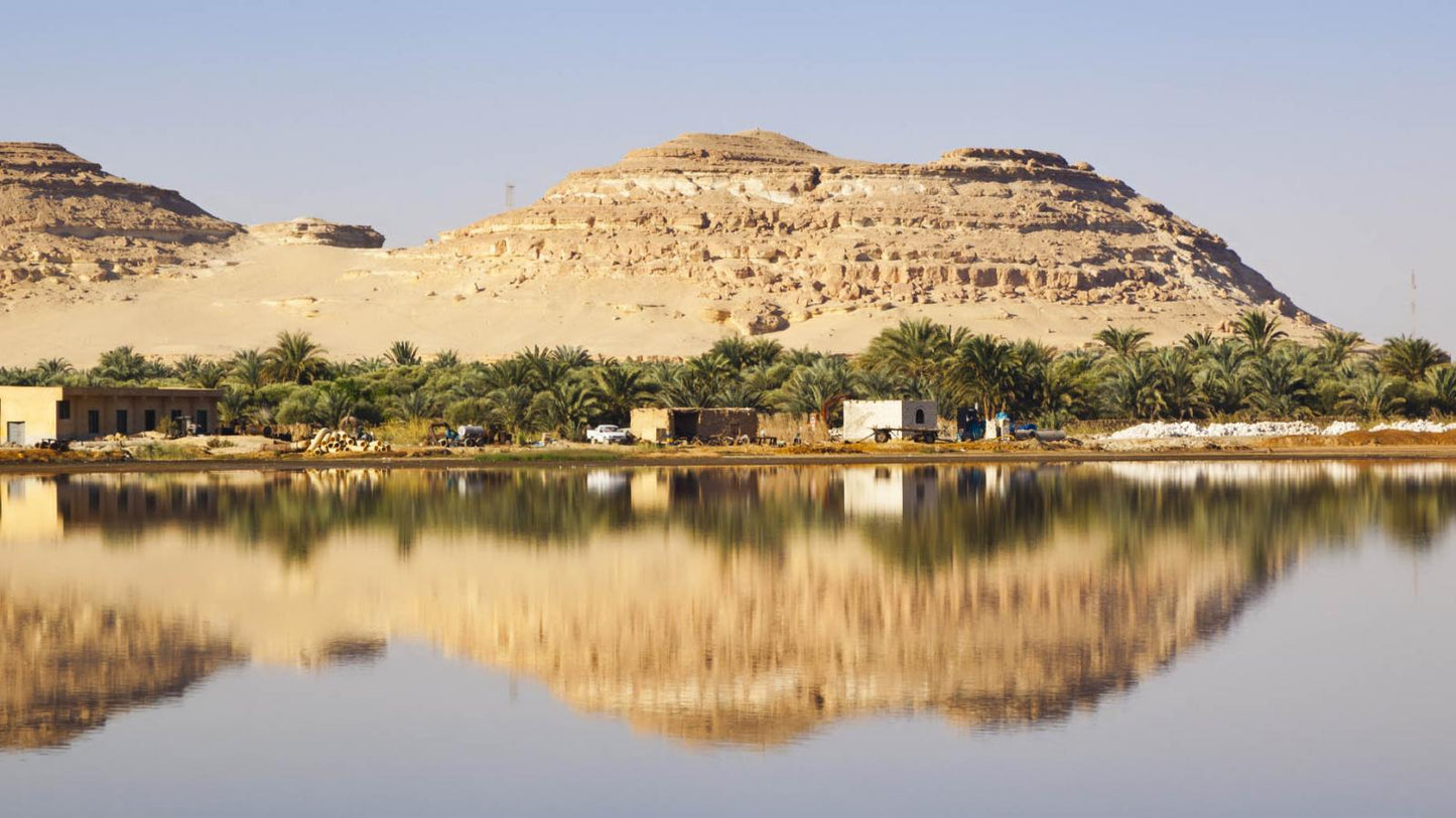 Von Kairo: Siwa Oasis Adventure: 3-tägiger Rückzug in die Natur
