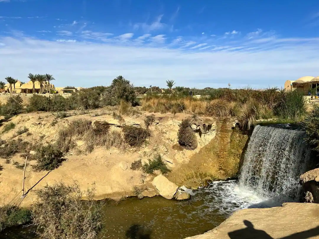 De Cairo: Excursão Particular Guiada de um Dia ao Oásis de Fayoum com Safari no Deserto