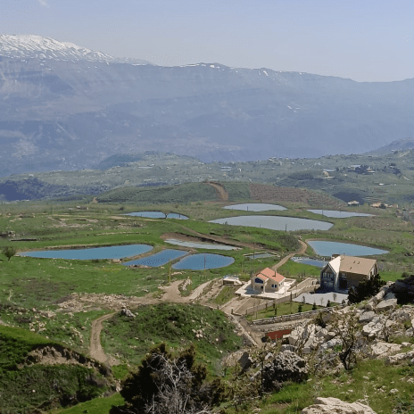 Von Beirut: Führung durch Jabal Mousa, Qartaba und den Afqa-Wasserfall