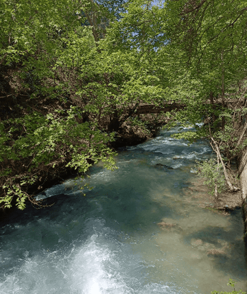 From Beiroet: Jabal Mousa, Qartaba en Afqa Waterval Gids Tour