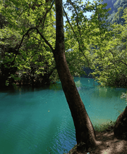 From Beiroet: Jabal Mousa, Qartaba en Afqa Waterval Gids Tour